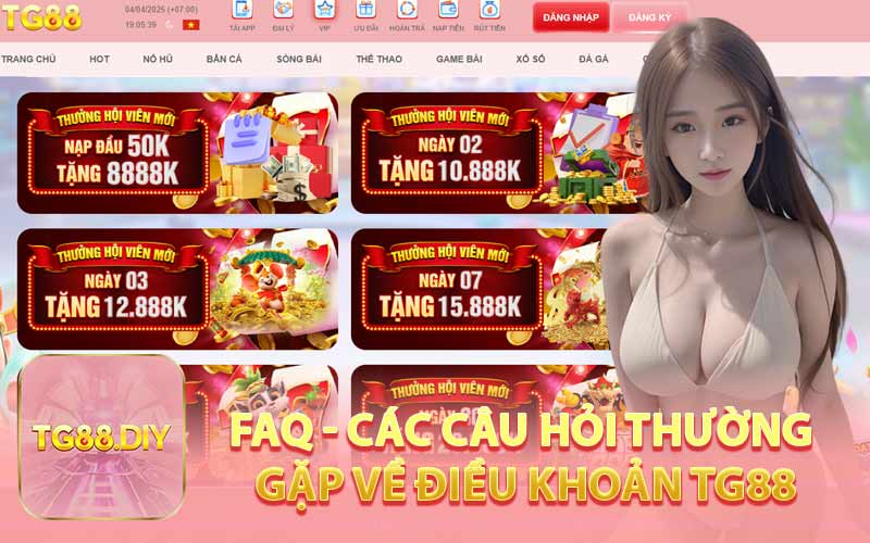 FAQ - Các Câu Hỏi Thường Gặp Về Điều Khoản TG88