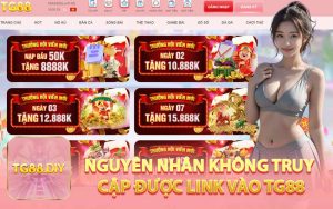 Nguyên Nhân Không Truy Cập Được Link Vào TG88